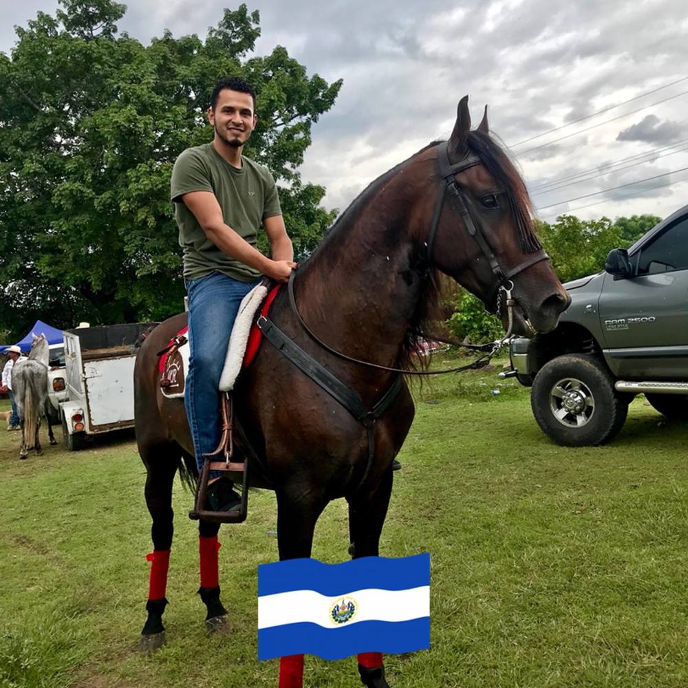 Meet your Posher, Walter